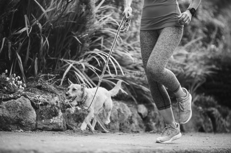 A person enjoying a light jog with their dog.
