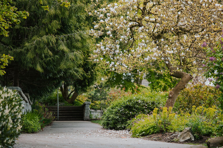 A person enjoying a light jog with their dog.